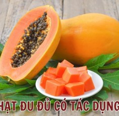Ăn hạt đu đủ có tác dụng gì? Hướng dẫn ăn hạt đu đủ trị bệnh đúng cách